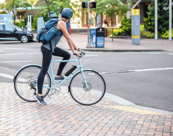 BeeMyBox-Fahrradtasche